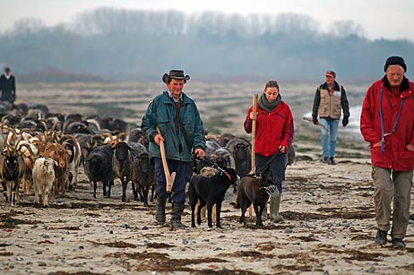 Travemünde Aktuell: Schaftreck nach Mecklenburg
