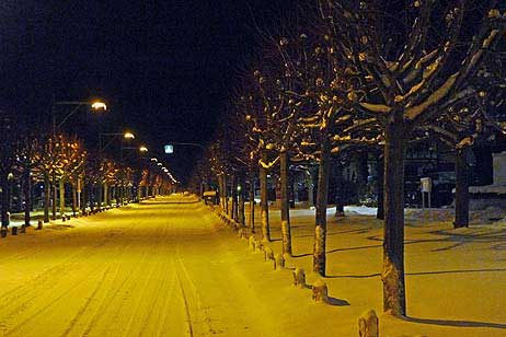 Travemünde Aktuell: Hochwasser, Schnee und Sturm aus NO
