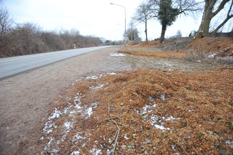 Am Howingsbrook ist es etwas viel des Guten: Vor Wochen wurden hier Bäume und Sträucher gefällt, die Späne einfach auf dem Fuß- und Fahrradweg liegenlassen. Auf der Strecke, die auch Schulweg ist, muss man Hügeln aus einem Holz-Streusand-Schnee-Gemisch ausweichen. Foto: TA