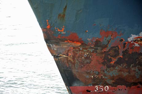 Das Motorschiff »Lisa D.« riss sich dabei den Bug oberhalb der Wasserlinie auf. Foto: TA