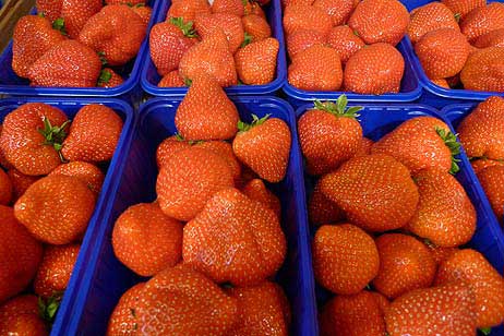 Travemünde Aktuell: Täglich frisches Obst und Gemüse in der Vorderreihe