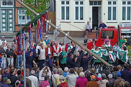 Travemünde Aktuell: Treff unterm Maibaum
