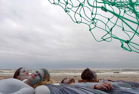 Travemünde Aktuell: Tierschützer fordern Verzicht auf Fisch