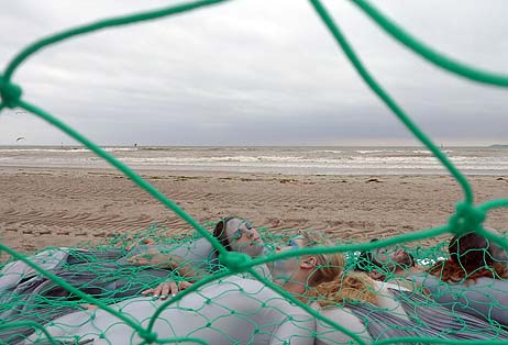 Travemünde Aktuell: Tierschützer fordern Verzicht auf Fisch
