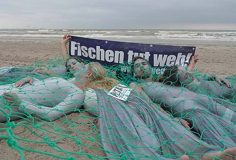 Travemünde Aktuell: Tierschützer fordern Verzicht auf Fisch