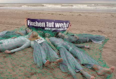 Travemünde Aktuell: Tierschützer fordern Verzicht auf Fisch