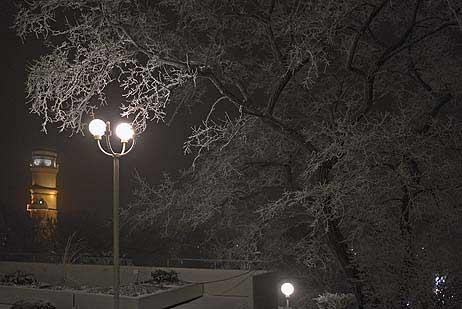 Travemünde Aktuell: Kälte, Schnee und dichter Nebel