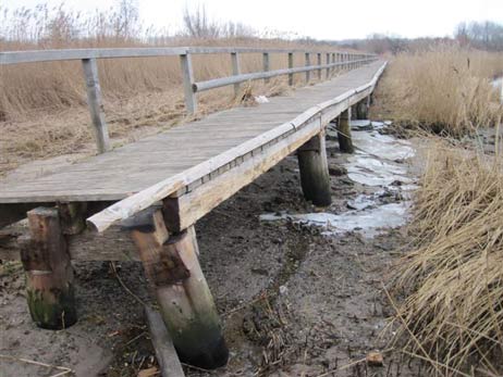 Travemünde Aktuell: Kaputte Priwall-Brücke:
