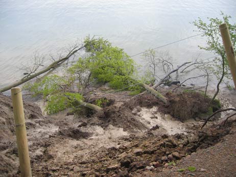 Travemünde Aktuell: Gefährliche Abbrüche am Brodtener Steilufer