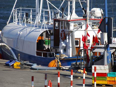 Travemünde Aktuell: Farbrausch im Ortskern