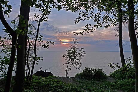 Travemünde Aktuell: Vogelkonzertflaniermeile Brodtener Ufer
