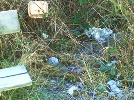 Travemünde Aktuell: Angler räumen Priwall auf