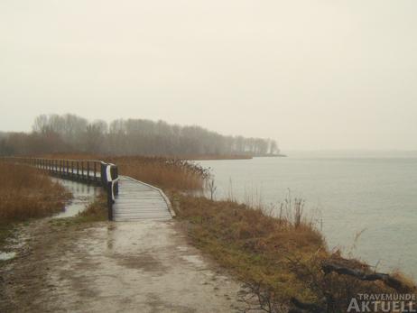 Travemünde Aktuell: Angler räumen Priwall auf