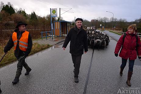 Travemünde Aktuell: Tierischer Andrang auf der Priwallfähre