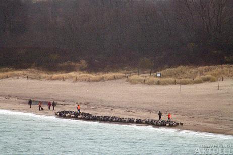 Travemünde Aktuell: Tierischer Andrang auf der Priwallfähre
