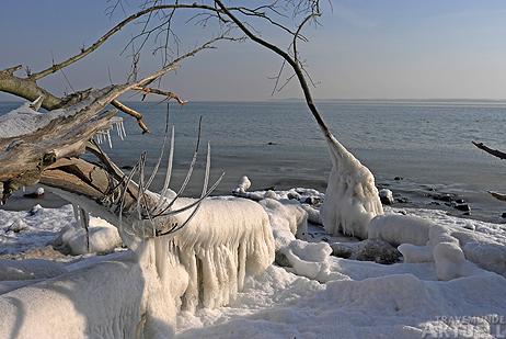 Travemünde Aktuell: Winterliche Impressionen vom Brodtener Steilufer