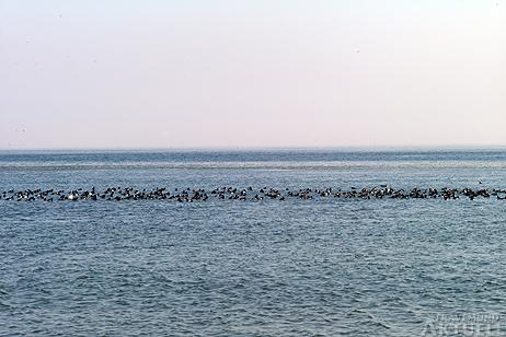 Travemünde Aktuell: Winterliche Impressionen vom Brodtener Steilufer