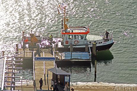 Travemünde Aktuell: »OSTE« aus dem Eis geholt