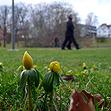 Fruehling_ante_Portas