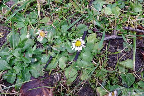 Travemünde Aktuell: Frühling ante Portas