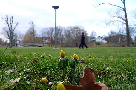 Travemünde Aktuell: Frühling ante Portas
