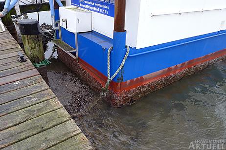 Travemünde Aktuell: Niedrigwasser in Travemünde