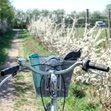 Zum Artikel Radtour »Rund um den Priwall« am 13. Juni