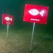 Zum Artikel Greenpeace-Aktionstag zum Schutz der Ostsee in Travemünde