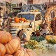 Zum Artikel Kürbiszeit und Halloween bei Karls in Warnsdorf